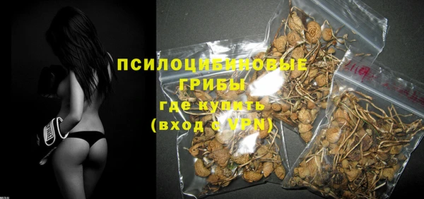не бодяженный Алексин